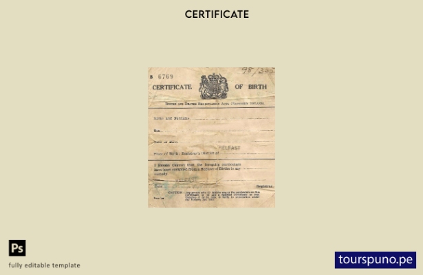 Plantilla de certificación de nacimiento lista para imprimir del Registro de Nac